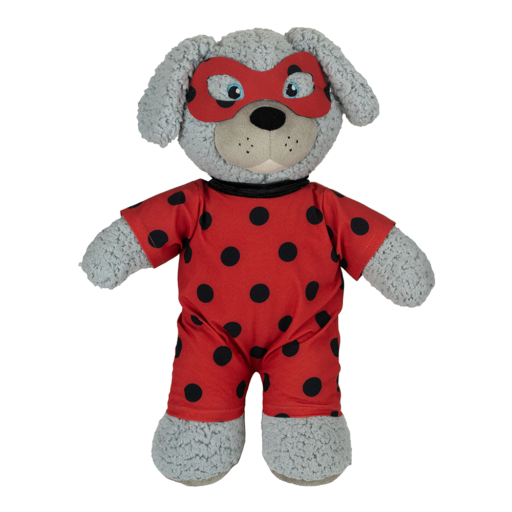 خرید ست لباس کفشدوزکی